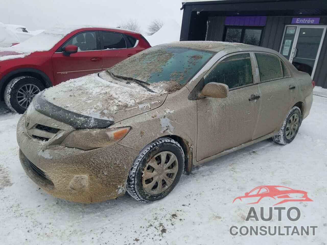 TOYOTA COROLLA 2011 - 2T1BU4EE6BC662733