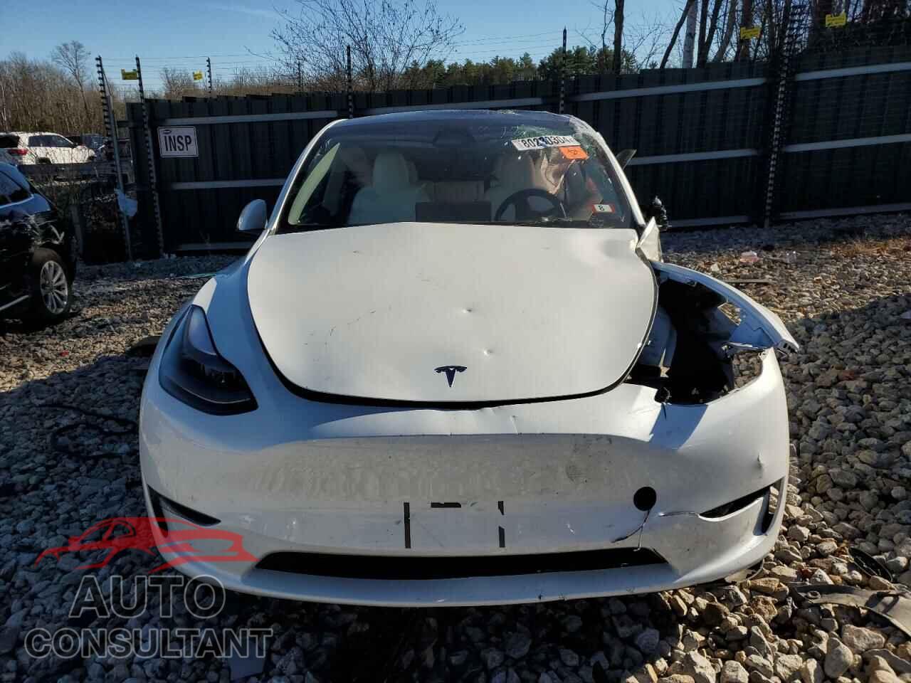 TESLA MODEL Y 2024 - 7SAYGAEE9RF077458
