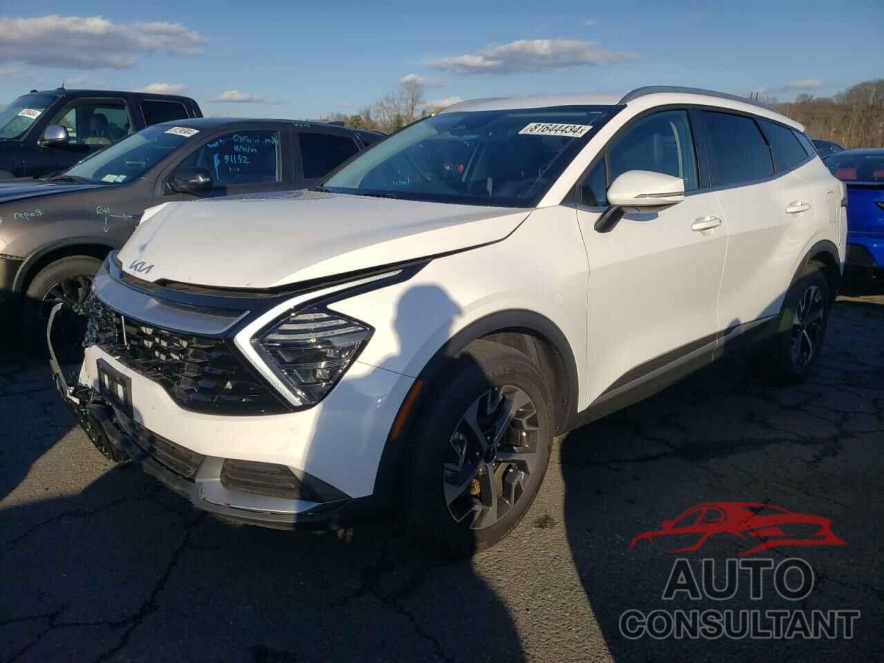 KIA SPORTAGE 2025 - 5XYK3CDF3SG252628