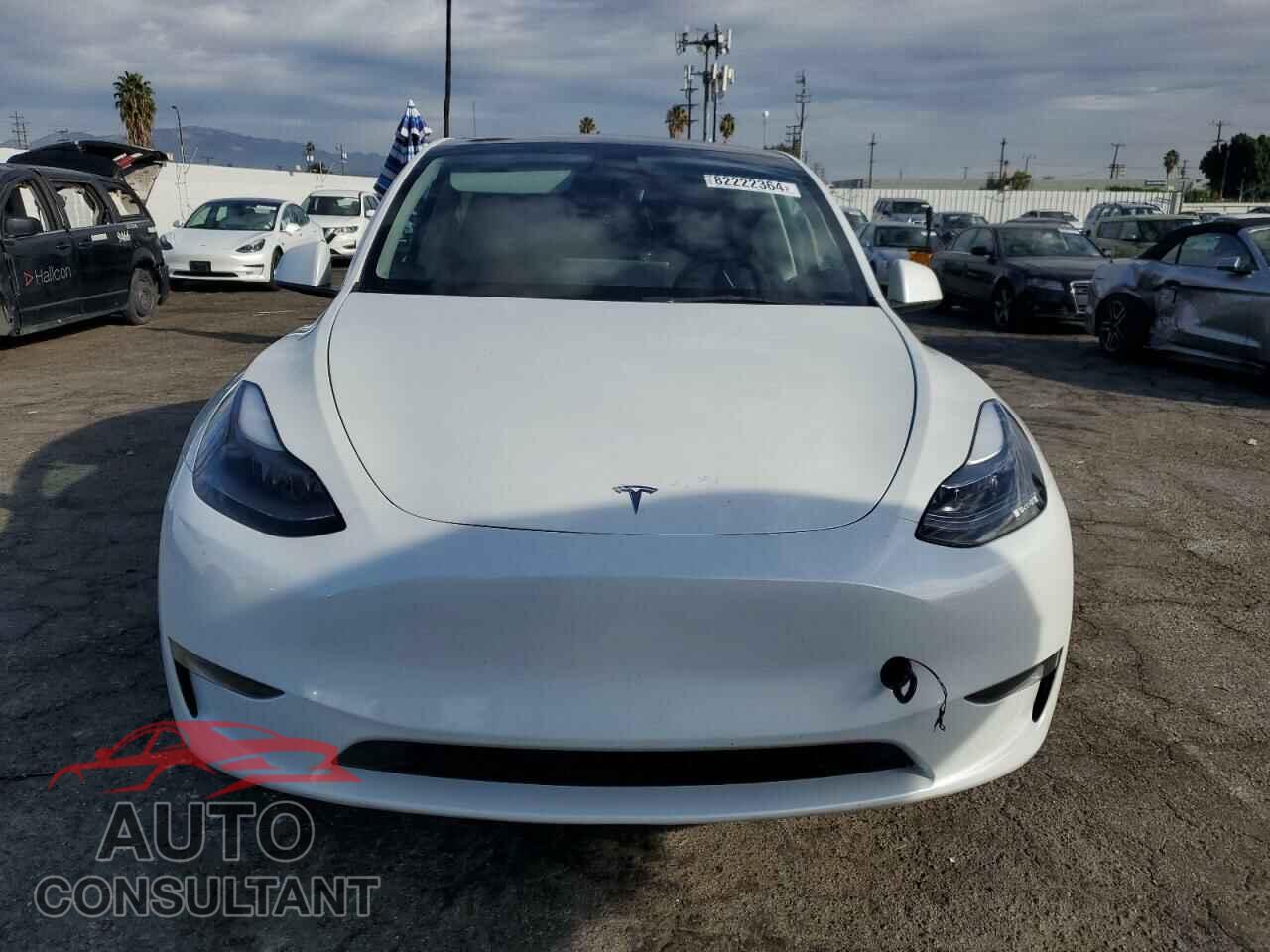 TESLA MODEL Y 2023 - 7SAYGDEE2PF834070