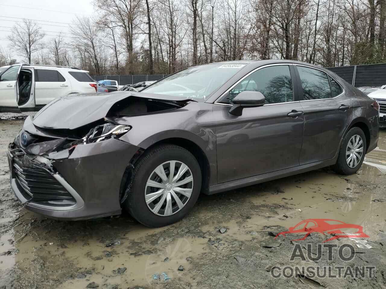 TOYOTA CAMRY 2022 - 4T1C31AK1NU041632