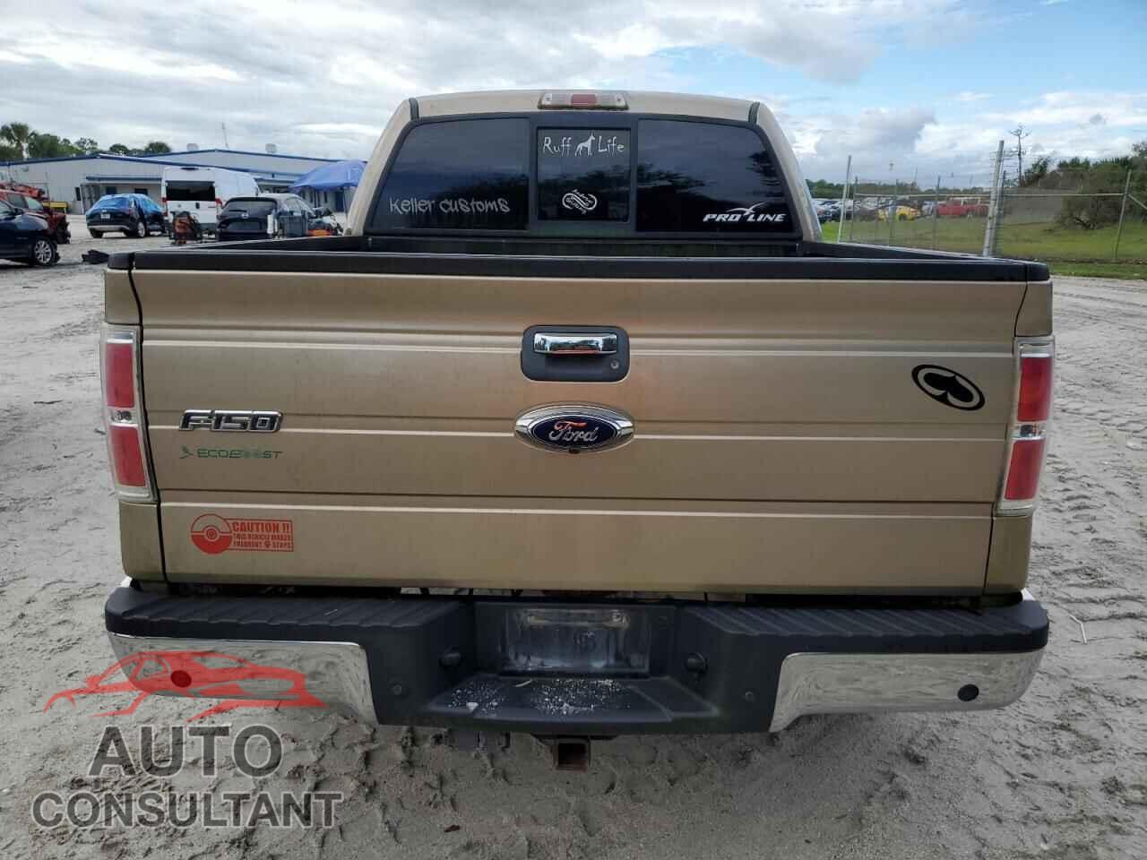 FORD F-150 2013 - 1FTFW1CT4DFD31218