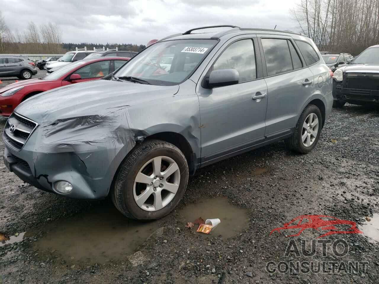 HYUNDAI SANTA FE 2009 - 5NMSH73E09H234119