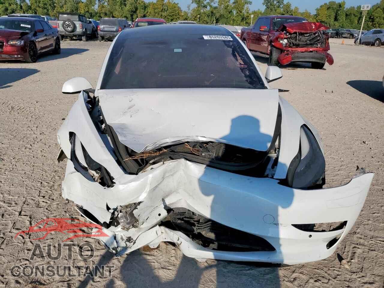 TESLA MODEL 3 2021 - 5YJ3E1EA1MF051648