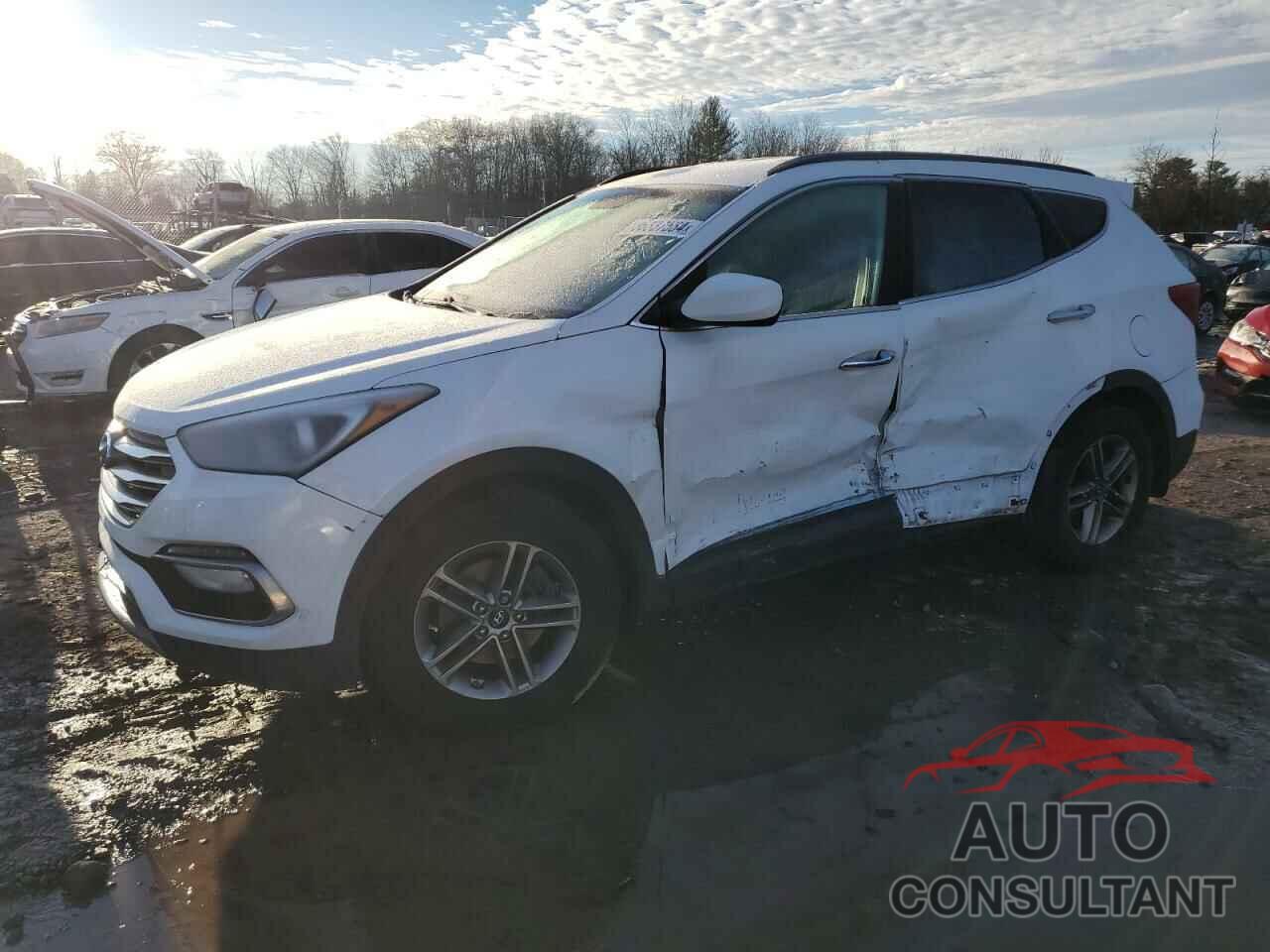 HYUNDAI SANTA FE 2017 - 5XYZUDLBXHG426994