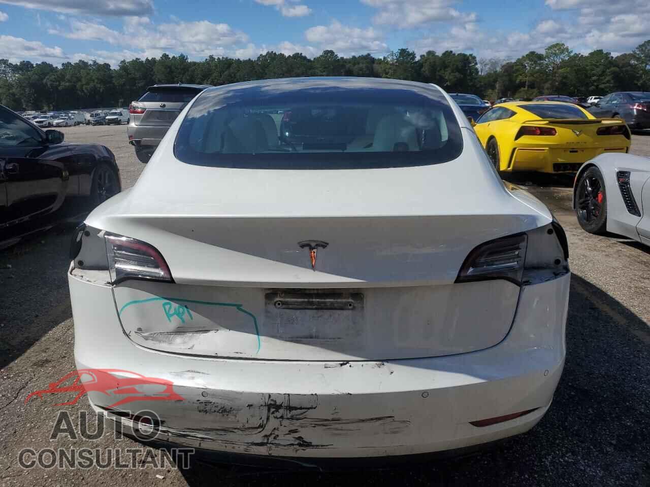 TESLA MODEL 3 2021 - 5YJ3E1EA5MF081932