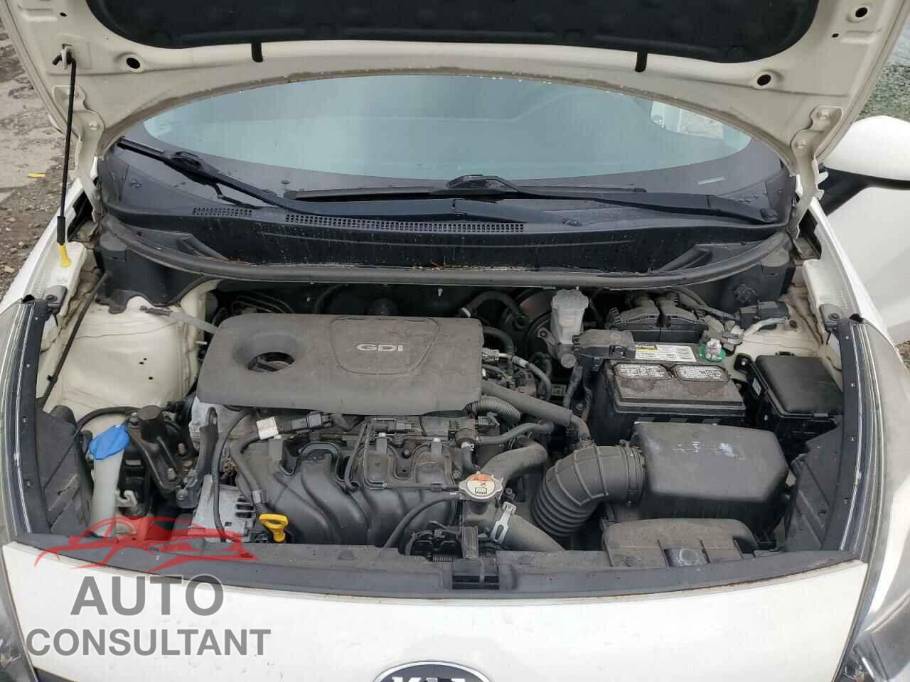 KIA RIO 2016 - KNADM4A36G6591588