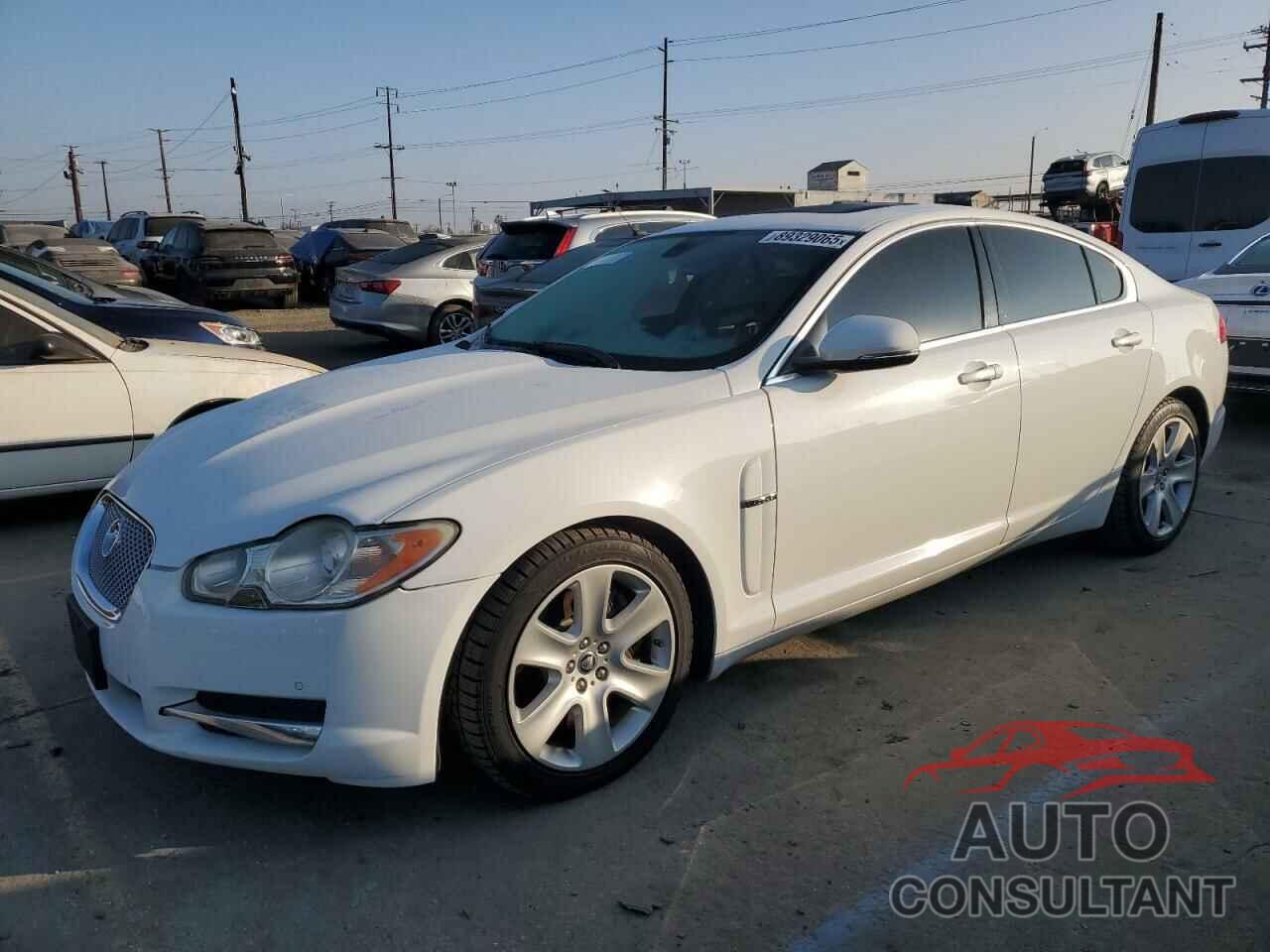 JAGUAR XF 2011 - SAJWA0FB3BLR92508