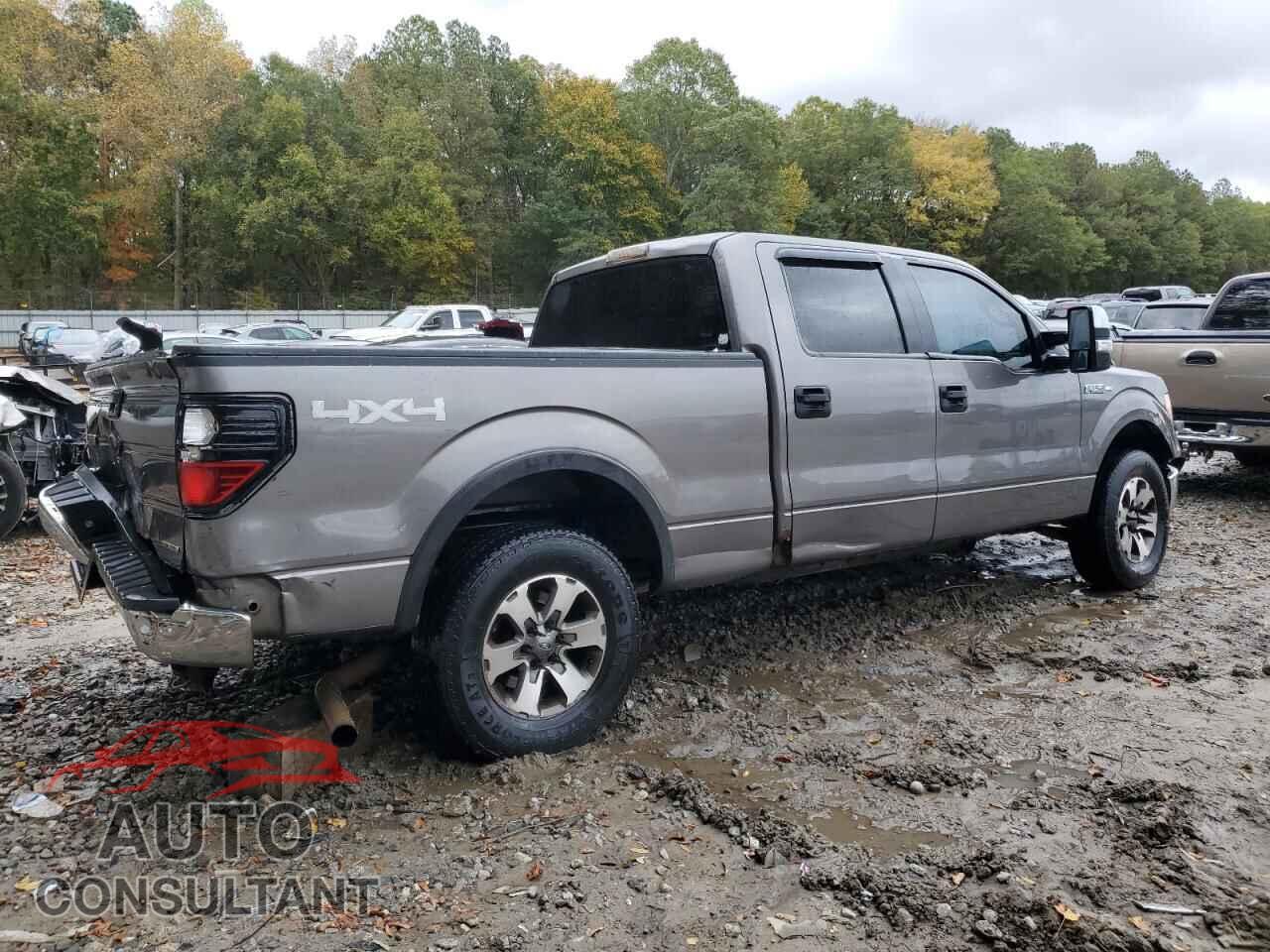 FORD F-150 2011 - 1FTFW1EF4BFB73807