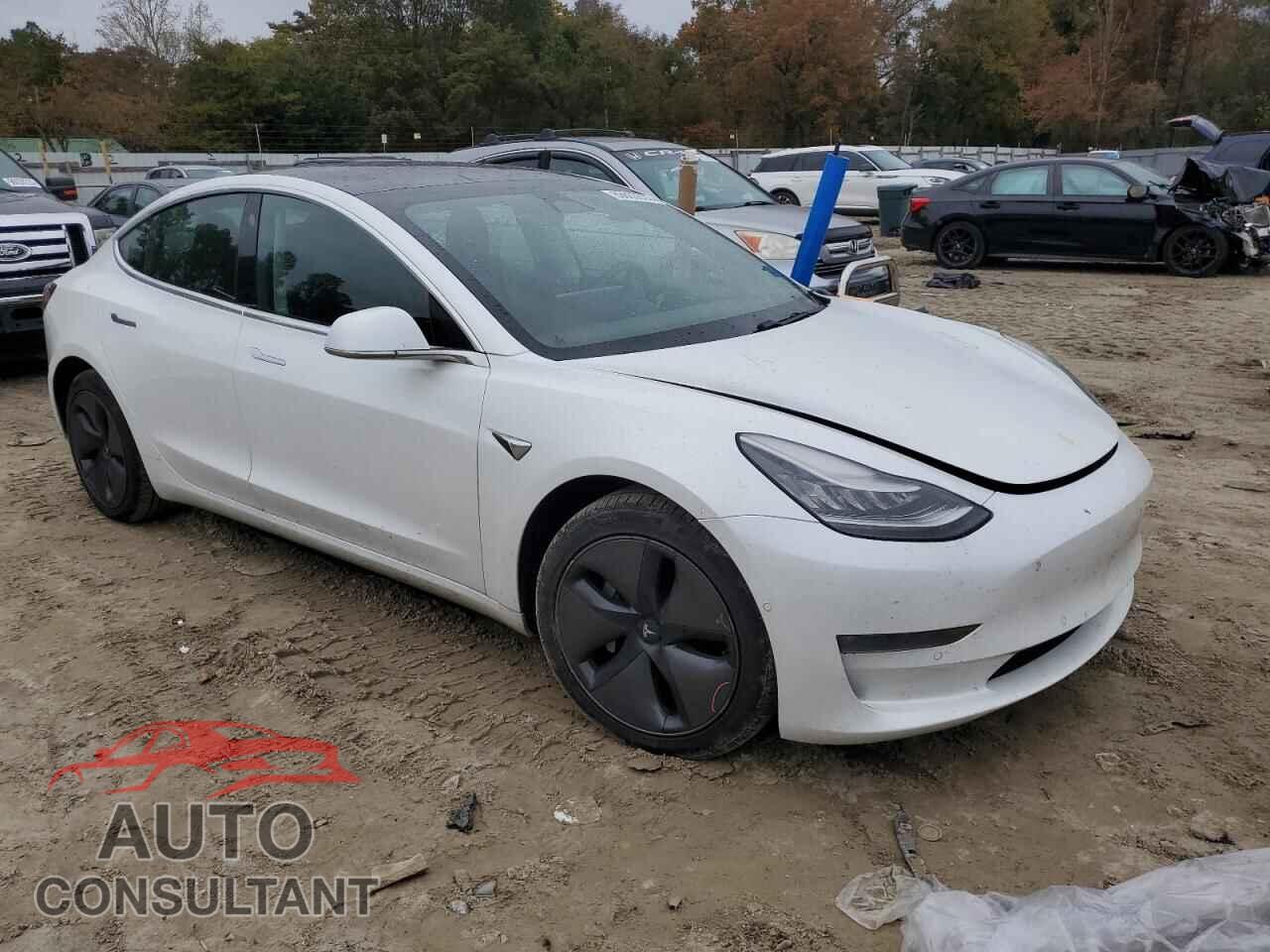 TESLA MODEL 3 2019 - 5YJ3E1EB0KF493309