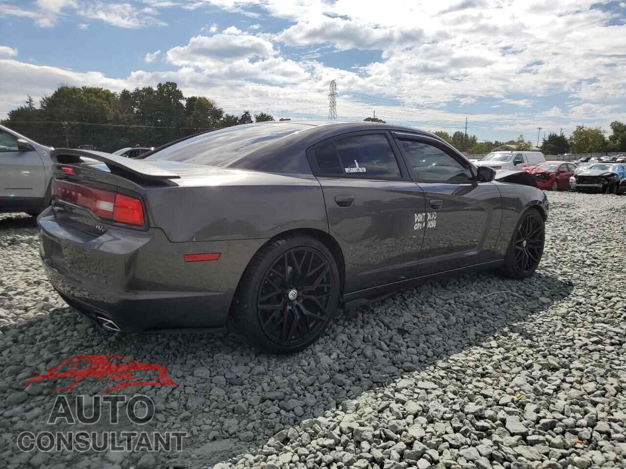 DODGE CHARGER 2014 - 2C3CDXCT1EH370154