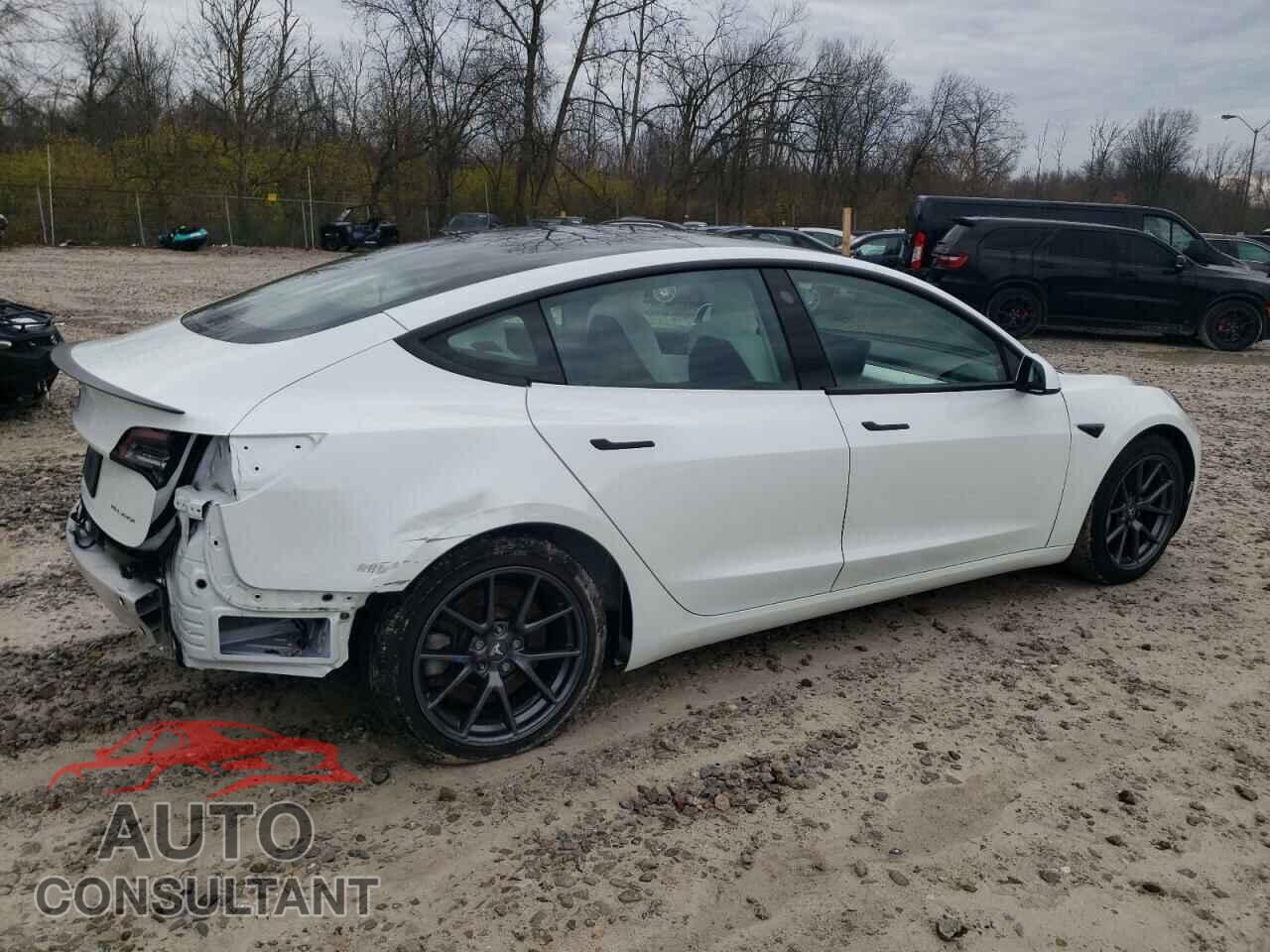 TESLA MODEL 3 2021 - 5YJ3E1EB8MF852831
