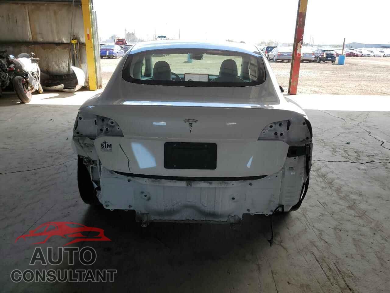 TESLA MODEL 3 2021 - 5YJ3E1EA6MF019083