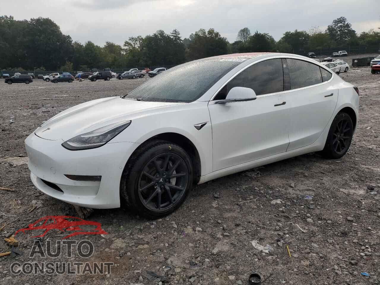 TESLA MODEL 3 2018 - 5YJ3E1EA4JF010684