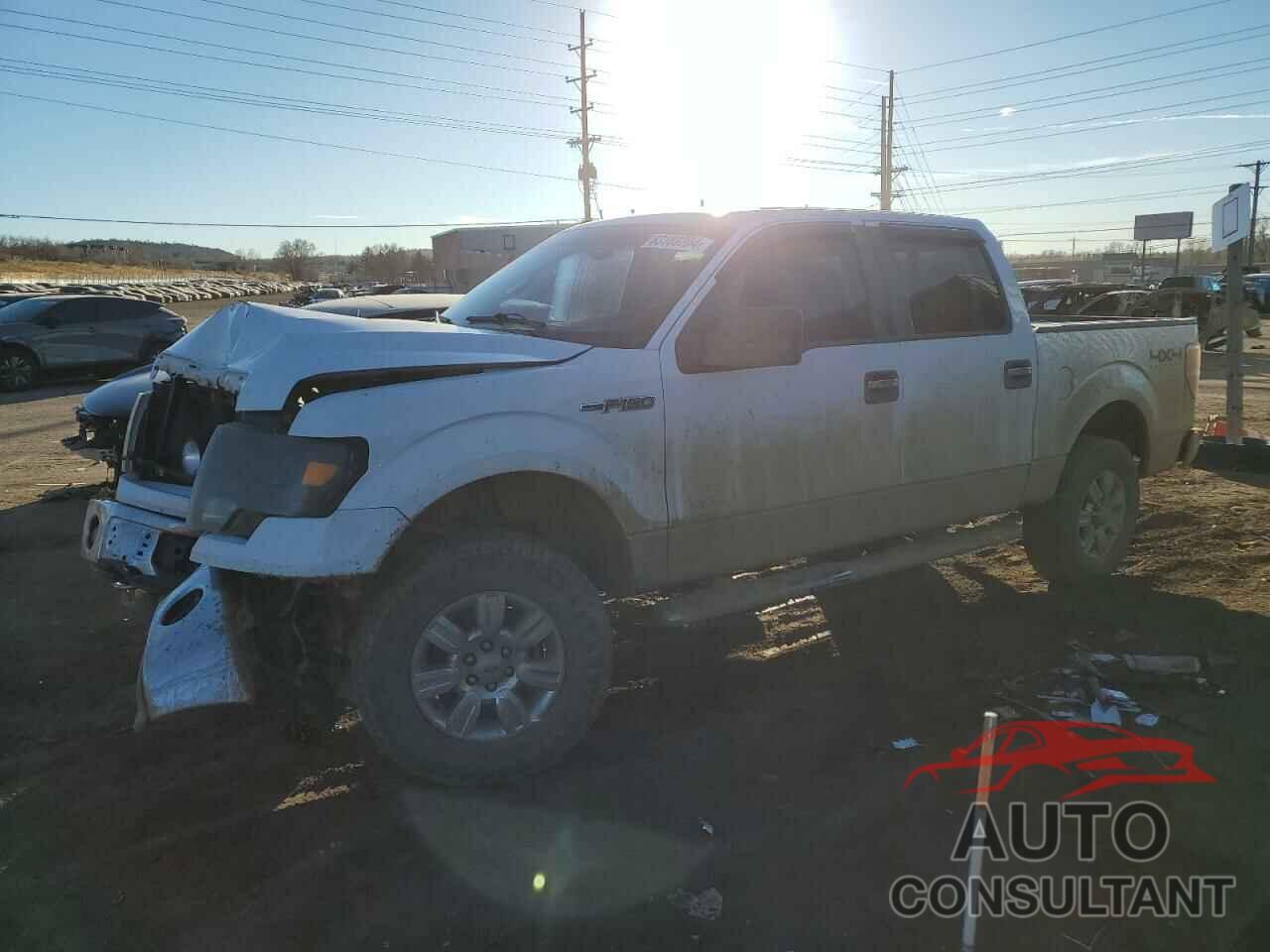 FORD F-150 2011 - 1FTFW1EF9BKE17412