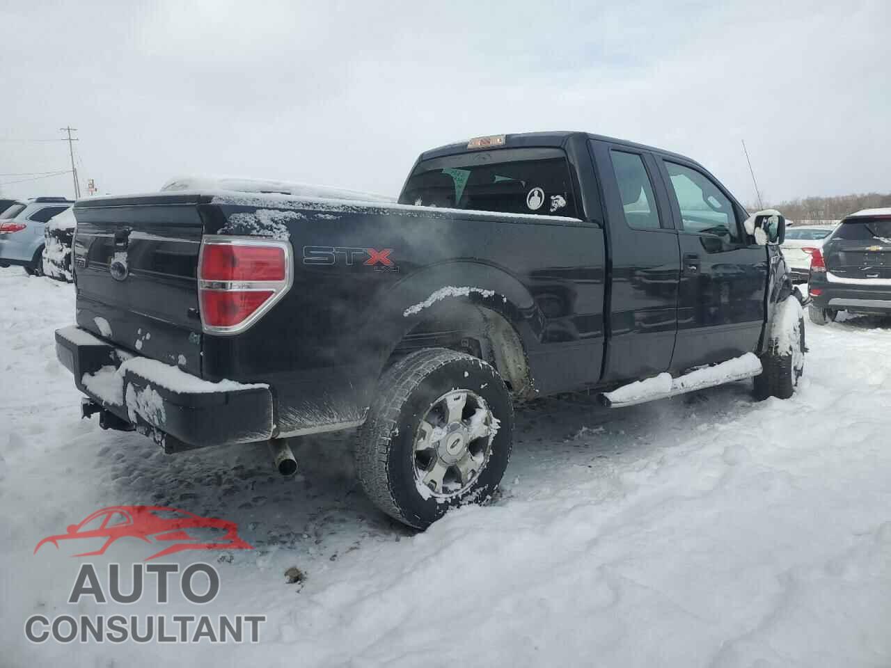 FORD F-150 2010 - 1FTEX1EW2AFD65234