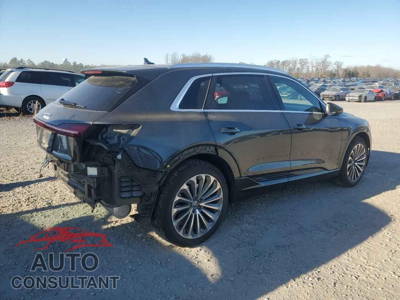 AUDI E-TRON 2019 - WA1VAAGE0KB022026