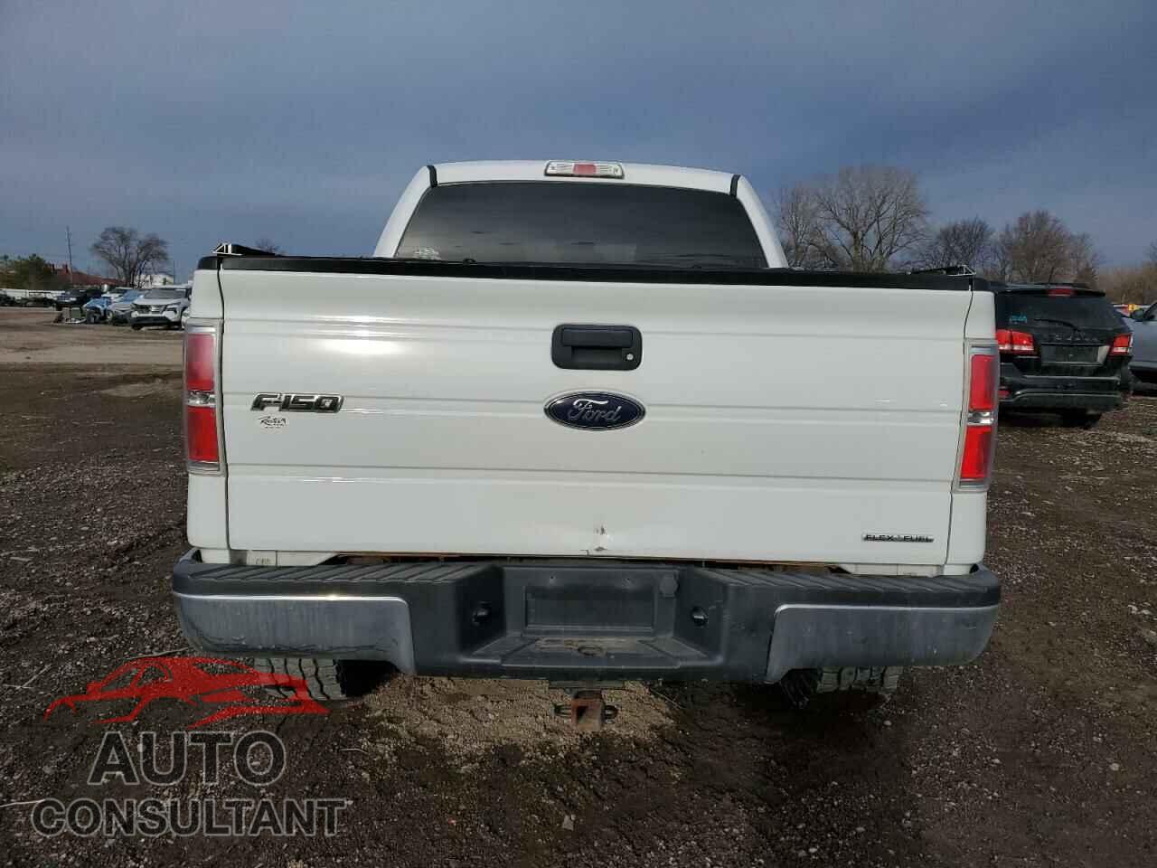 FORD F-150 2013 - 1FTFW1EF4DFD28293