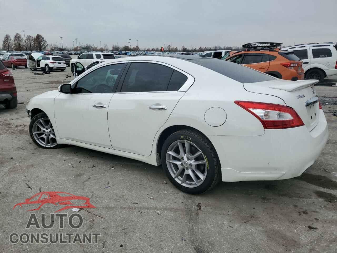 NISSAN MAXIMA 2011 - 1N4AA5AP7BC830041