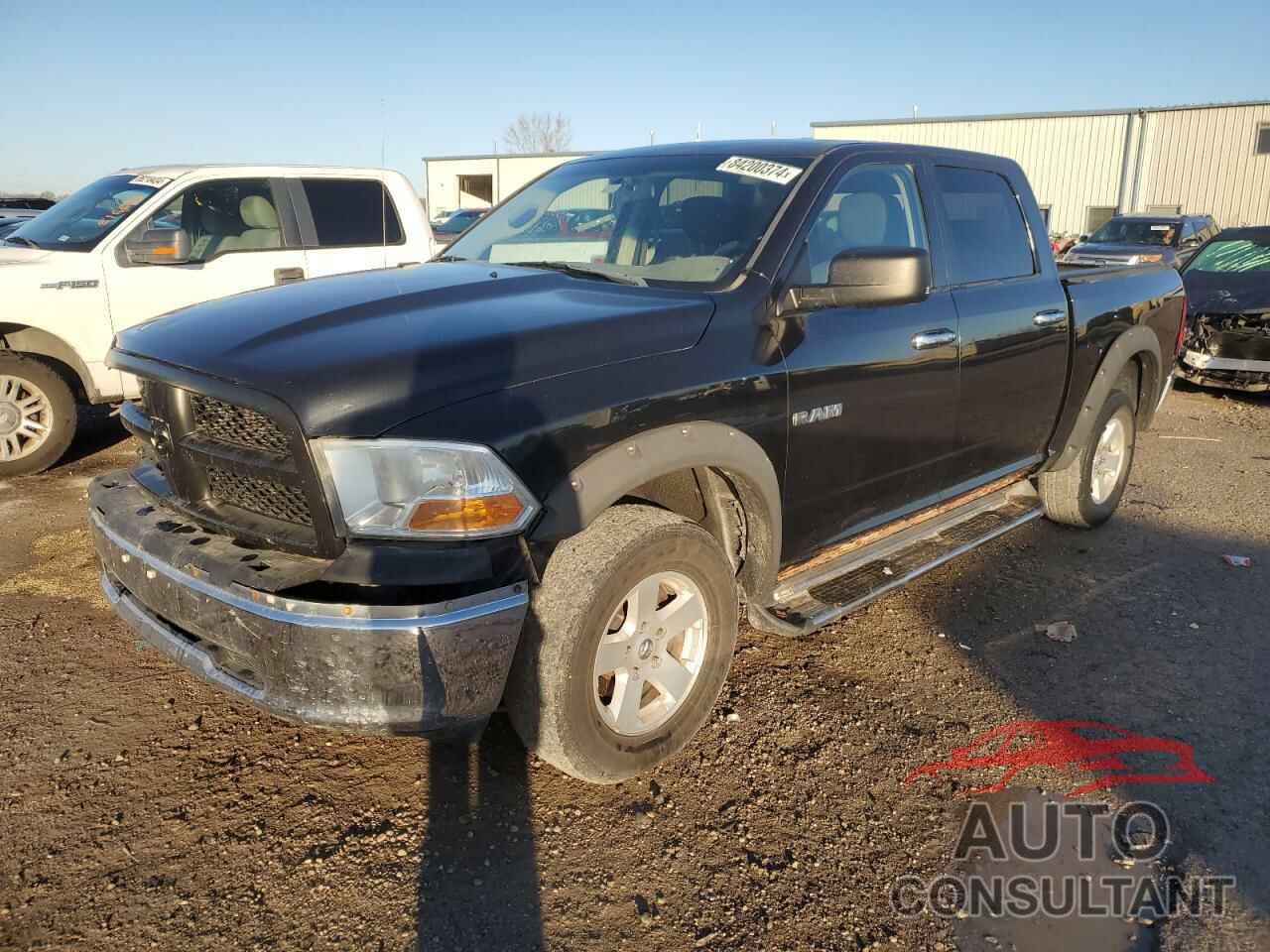 DODGE All Models 2010 - 1D7RV1CP7AS116783