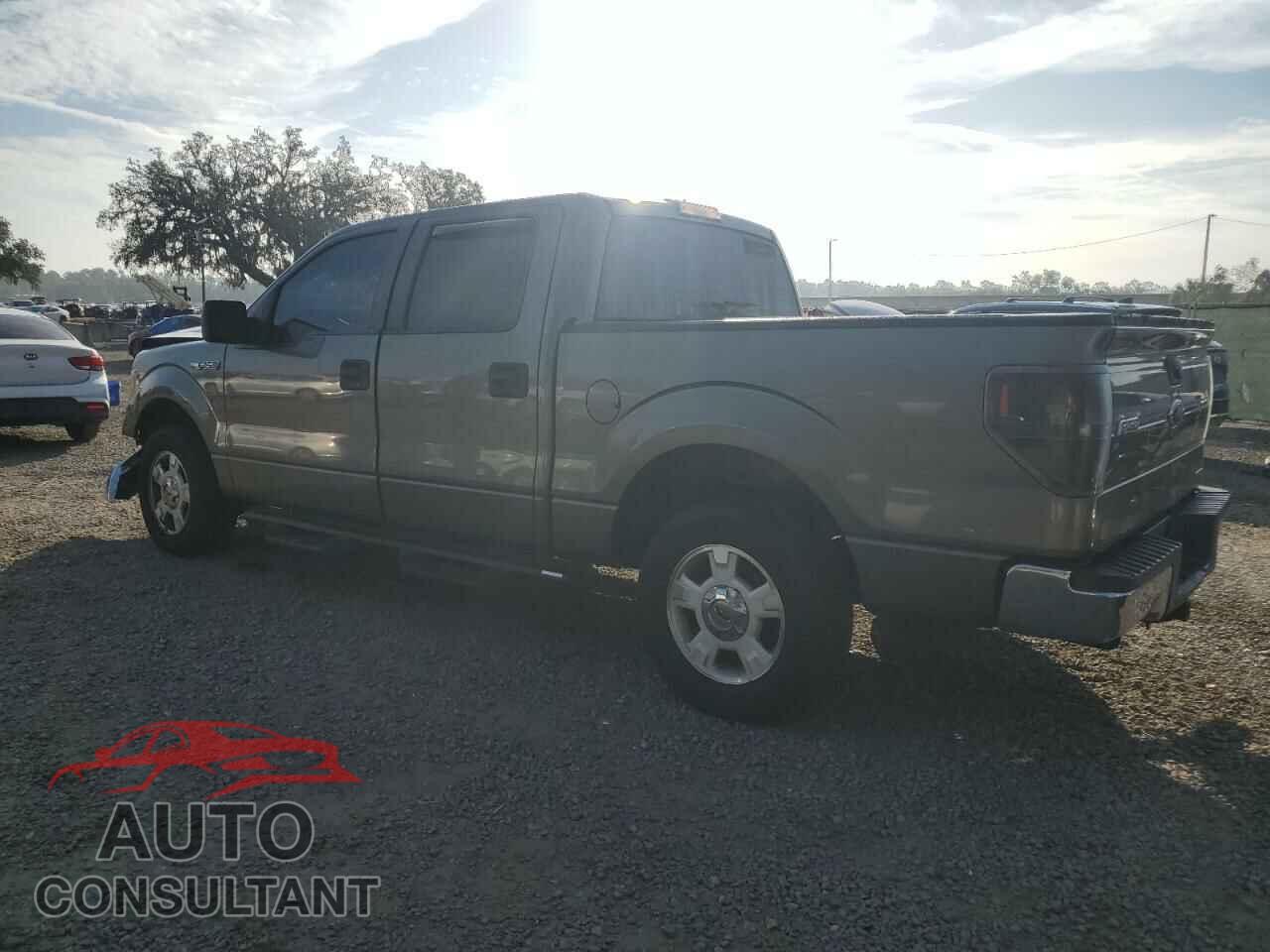 FORD F-150 2013 - 1FTEW1CM9DFD49654