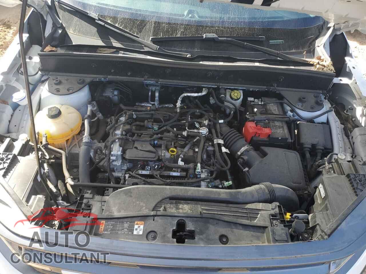 FORD BRONCO 2024 - 3FMCR9B68RRE40033