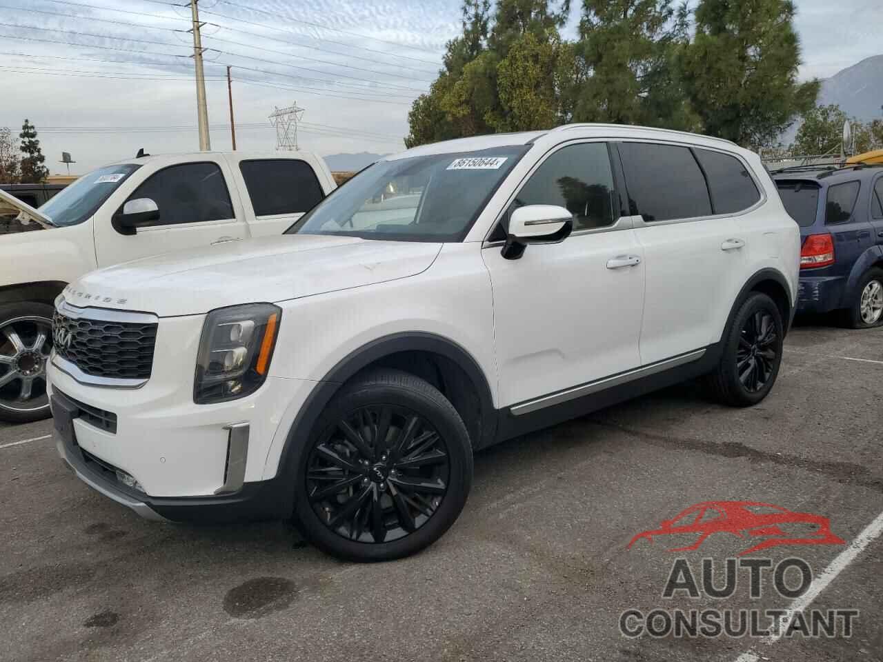 KIA TELLURIDE 2022 - 5XYP54HC8NG241585
