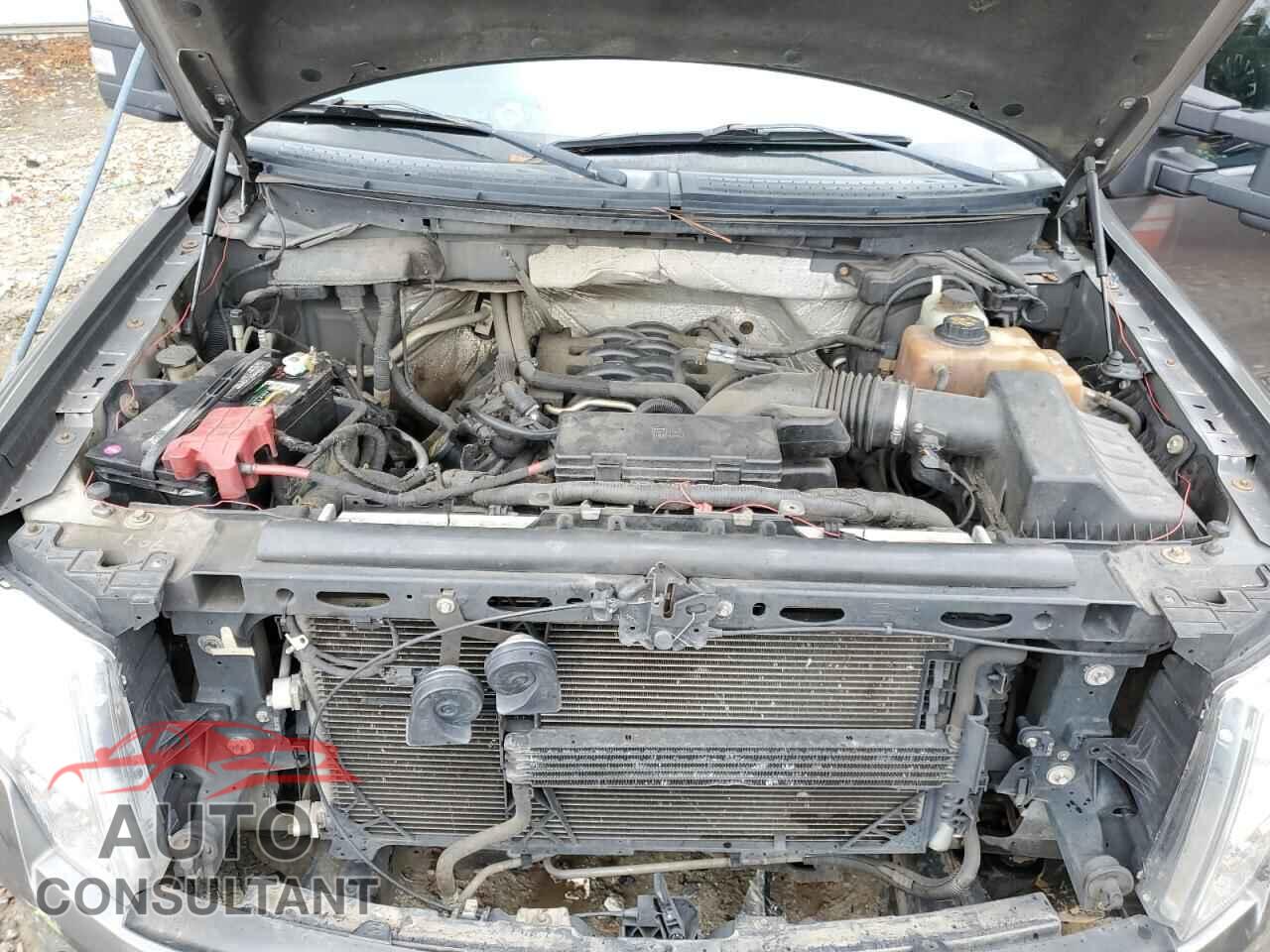 FORD F-150 2011 - 1FTFW1EF4BFB73807