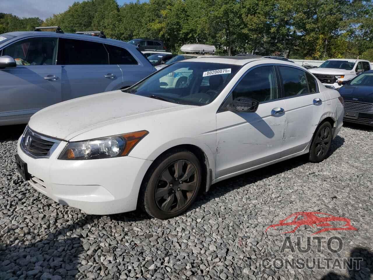 HONDA ACCORD 2010 - 1HGCP2F77AA805287