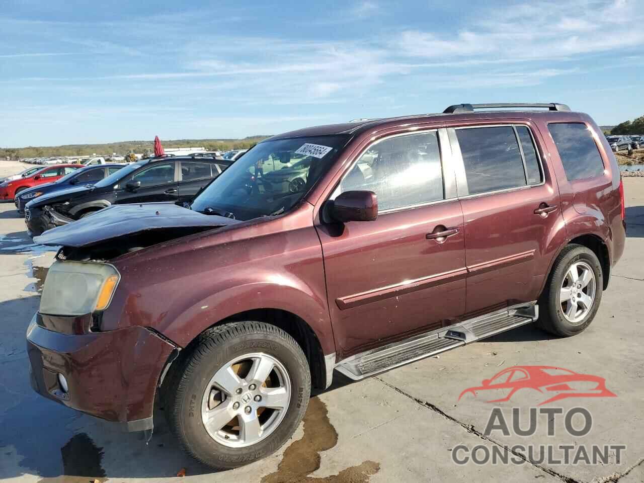 HONDA PILOT 2009 - 5FNYF38659B005916