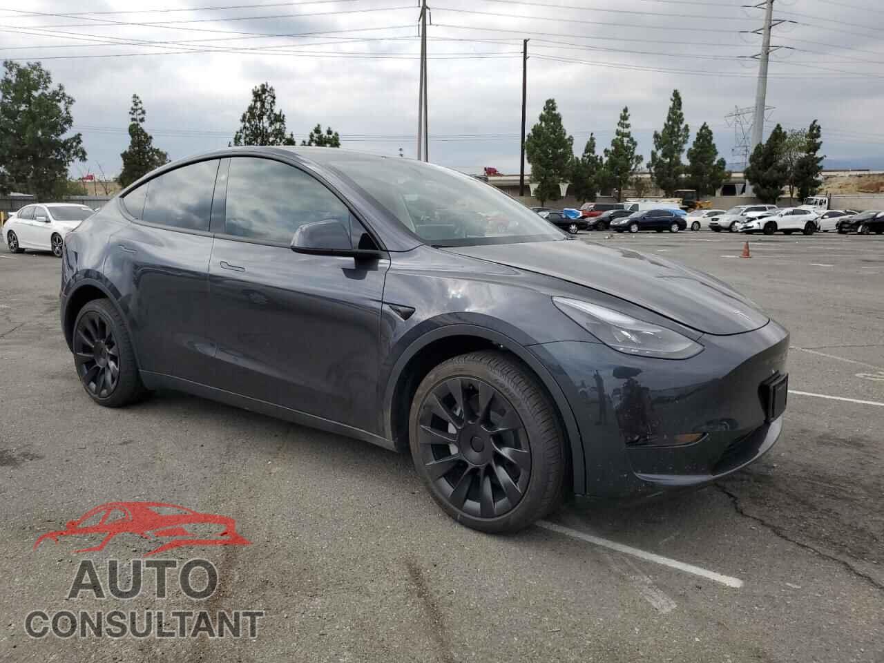 TESLA MODEL Y 2024 - 7SAYGDED3RF097682