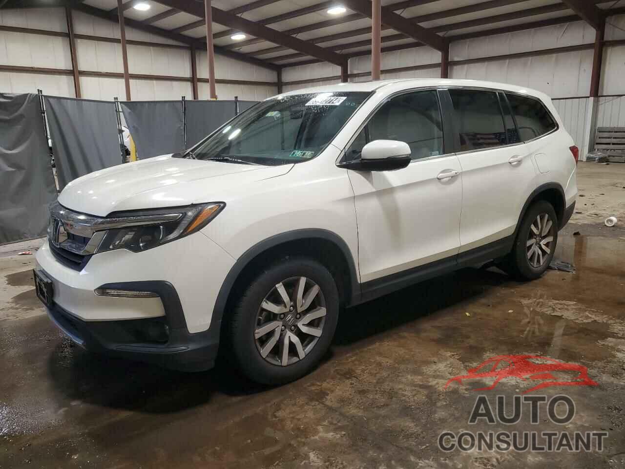 HONDA PILOT 2019 - 5FNYF6H53KB051954