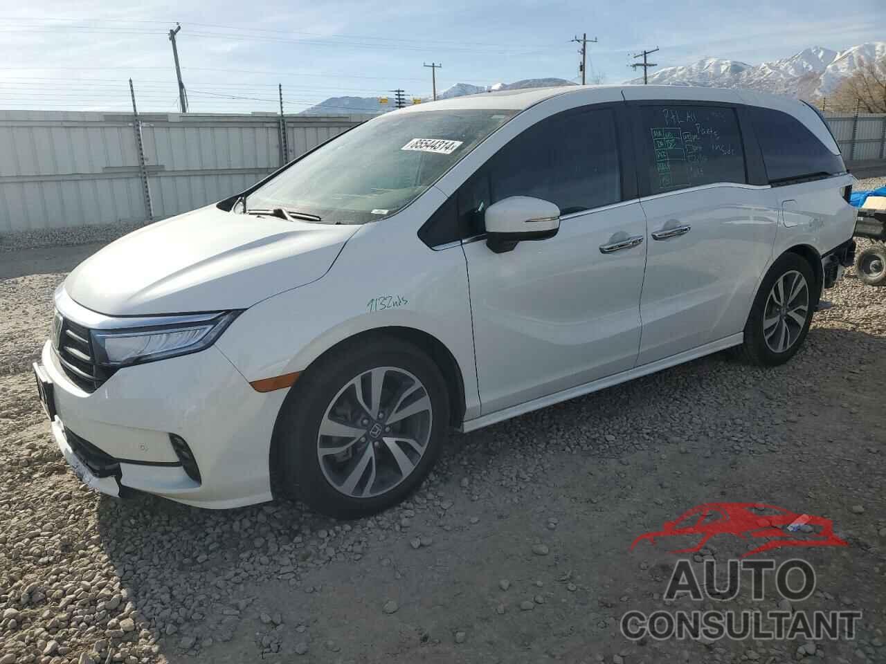 HONDA ODYSSEY 2022 - 5FNRL6H81NB049129