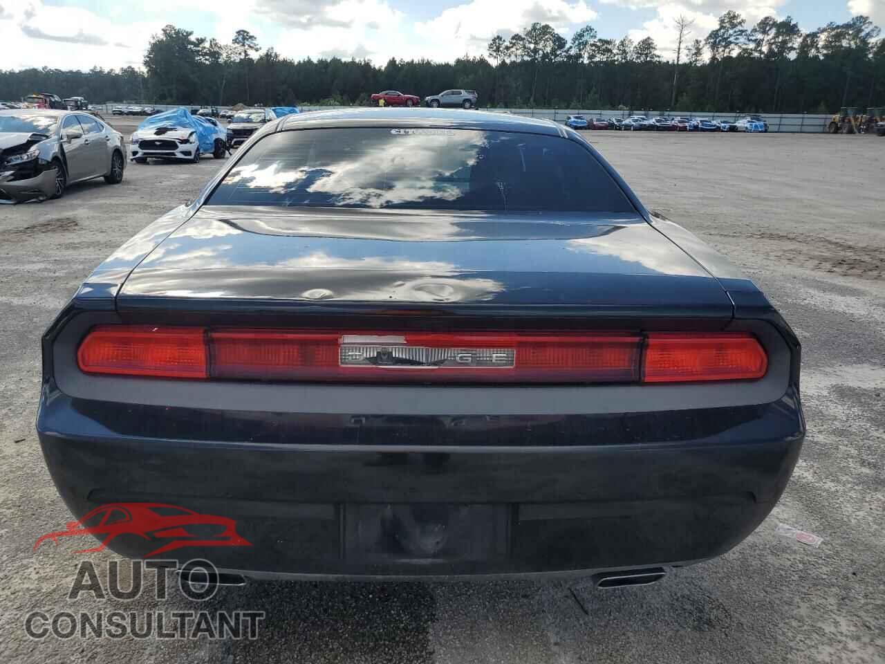 DODGE CHALLENGER 2013 - 2C3CDYAG5DH736384