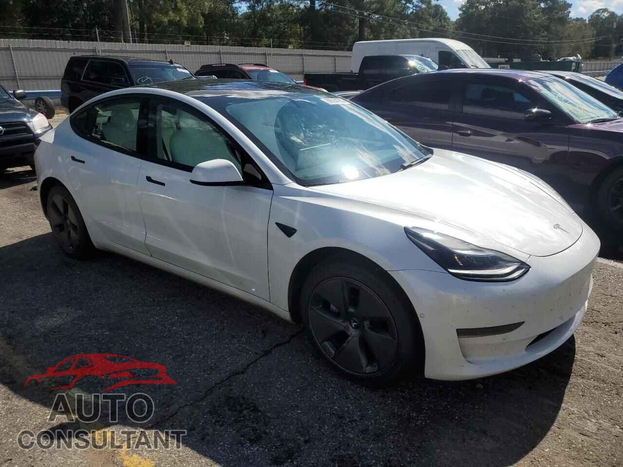 TESLA MODEL 3 2021 - 5YJ3E1EA5MF081932