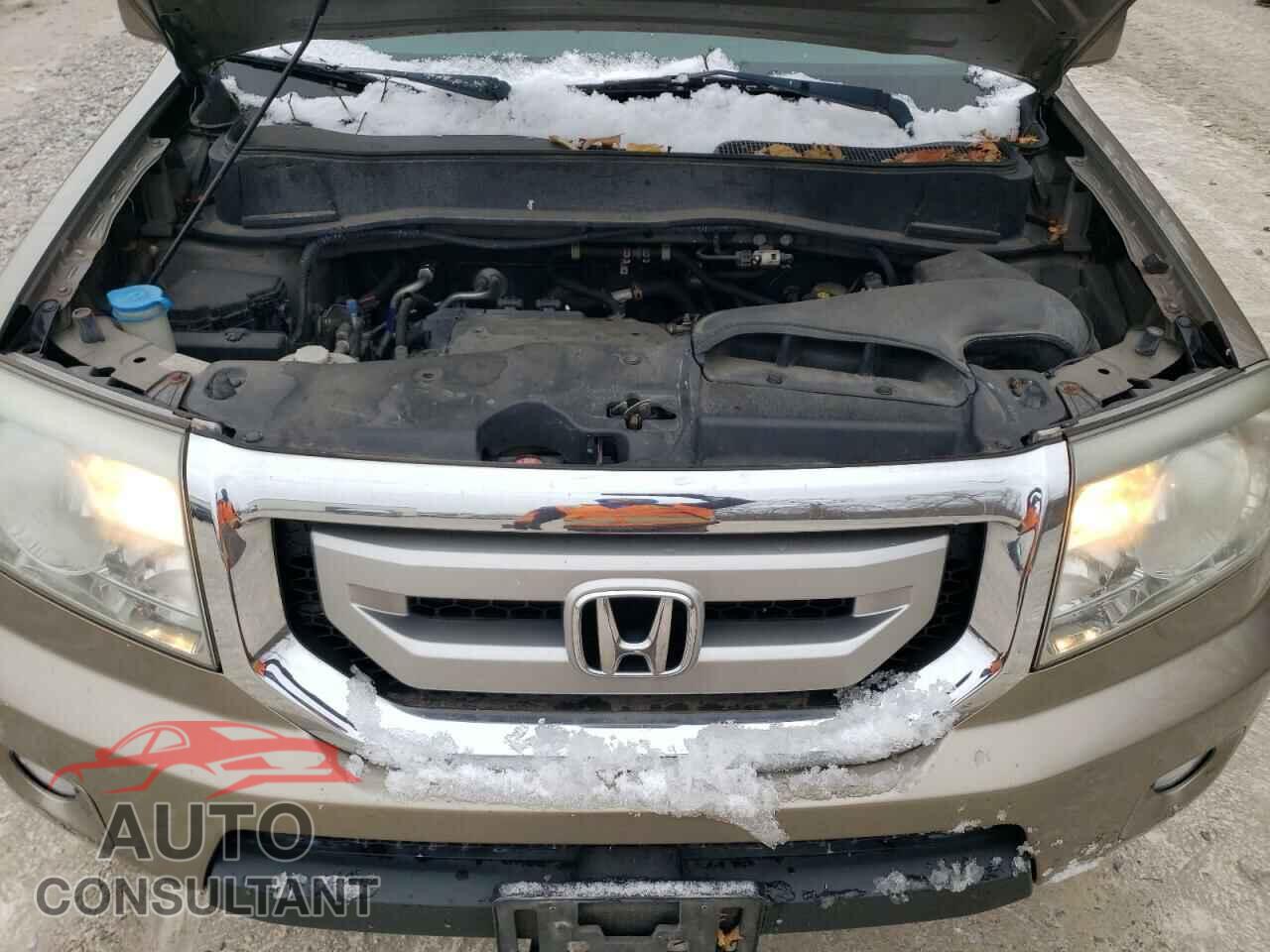 HONDA PILOT 2011 - 5FNYF4H41BB031908
