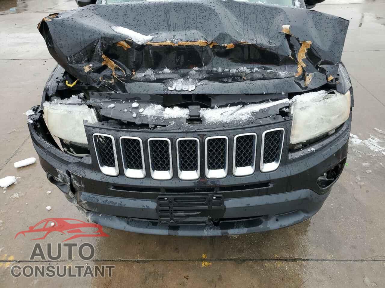 JEEP COMPASS 2011 - 1J4NT1FAXBD138041