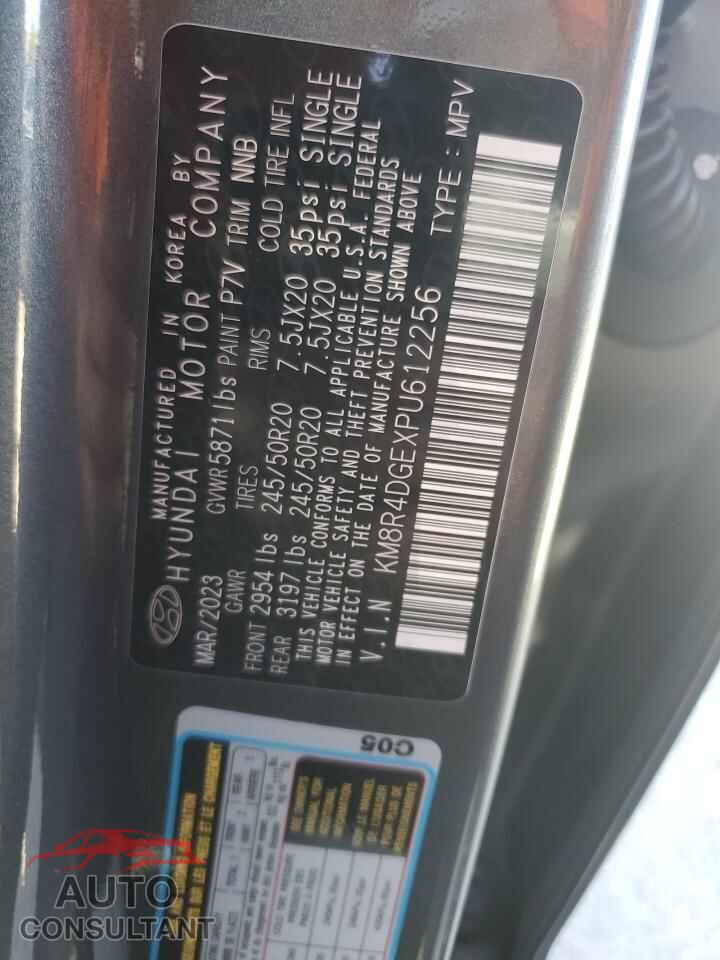 HYUNDAI PALISADE 2023 - KM8R4DGEXPU612256