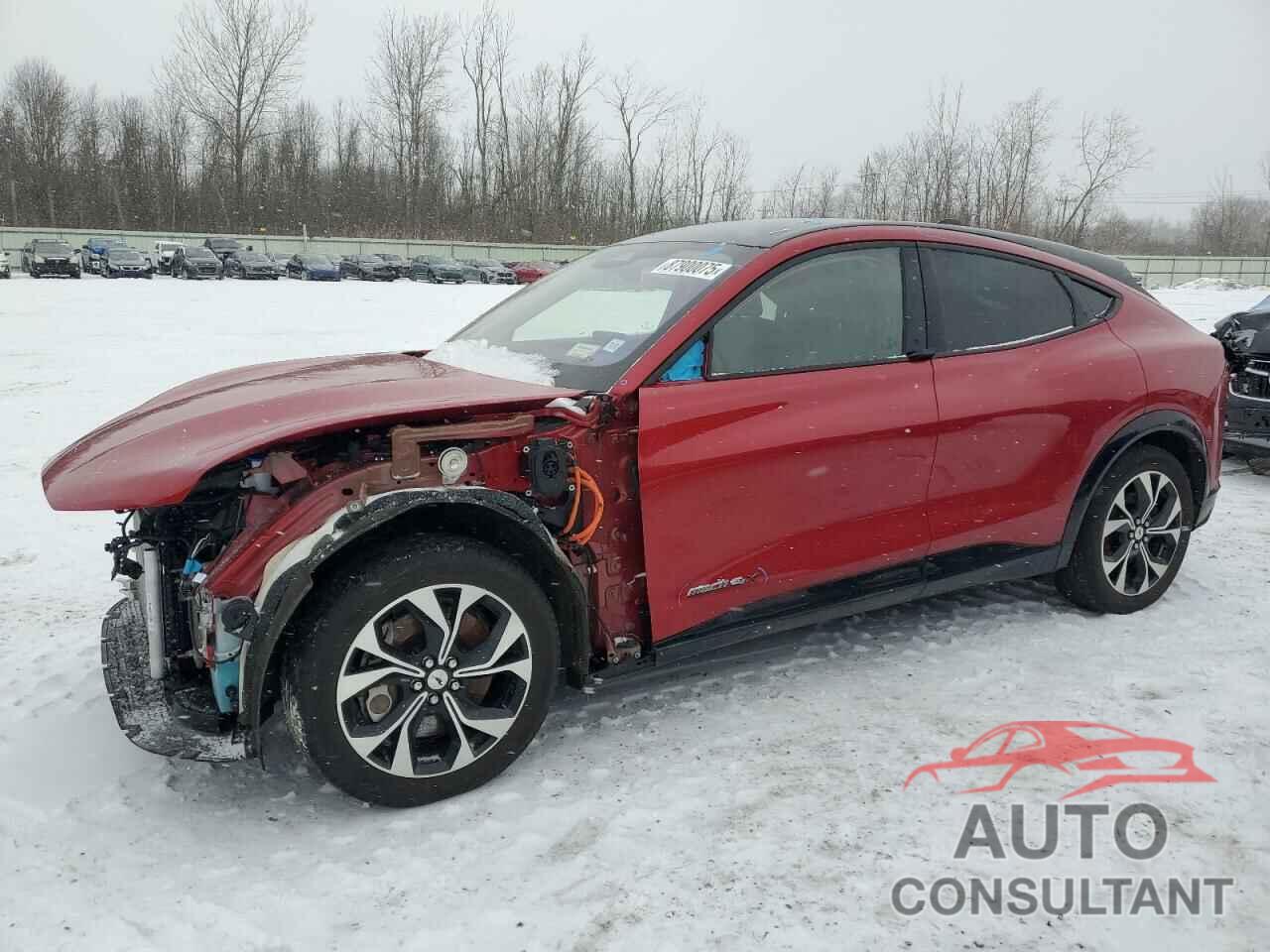 FORD MUSTANG 2021 - 3FMTK3SUXMMA61749
