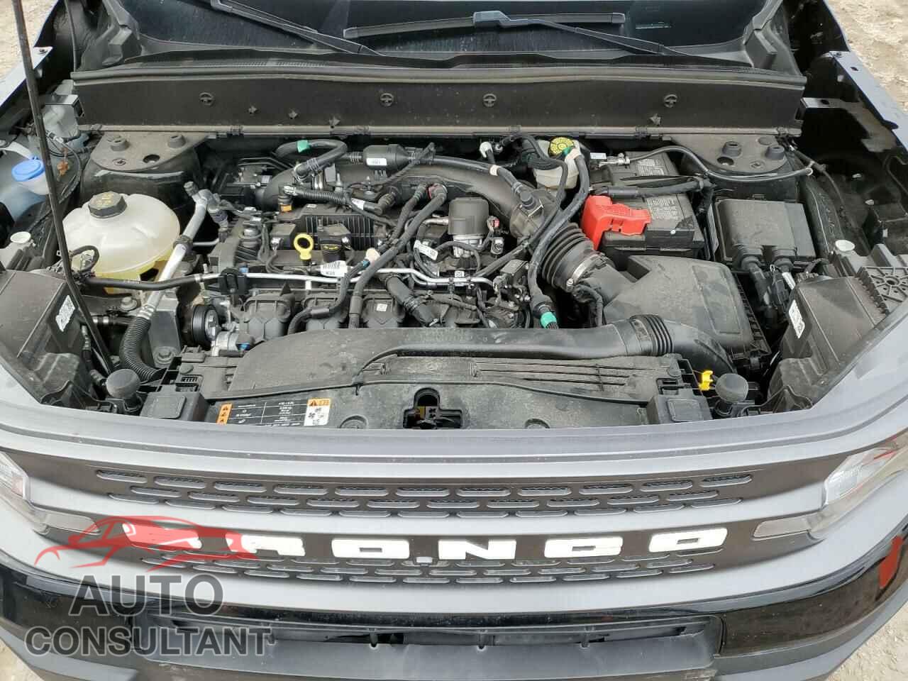 FORD BRONCO 2023 - 3FMCR9D92PRD75006