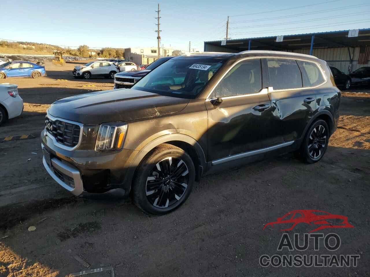 KIA TELLURIDE 2023 - 5XYP5DGC9PG348620