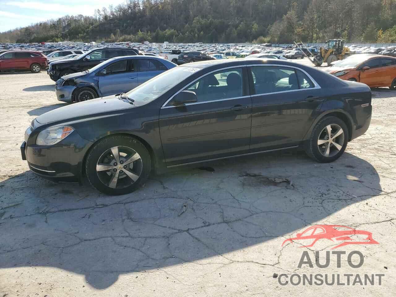 CHEVROLET MALIBU 2011 - 1G1ZC5EU7BF190444