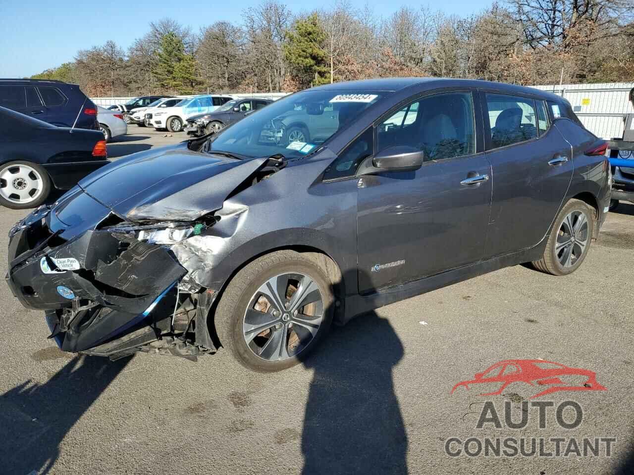 NISSAN LEAF 2019 - 1N4BZ1CP1KC317774