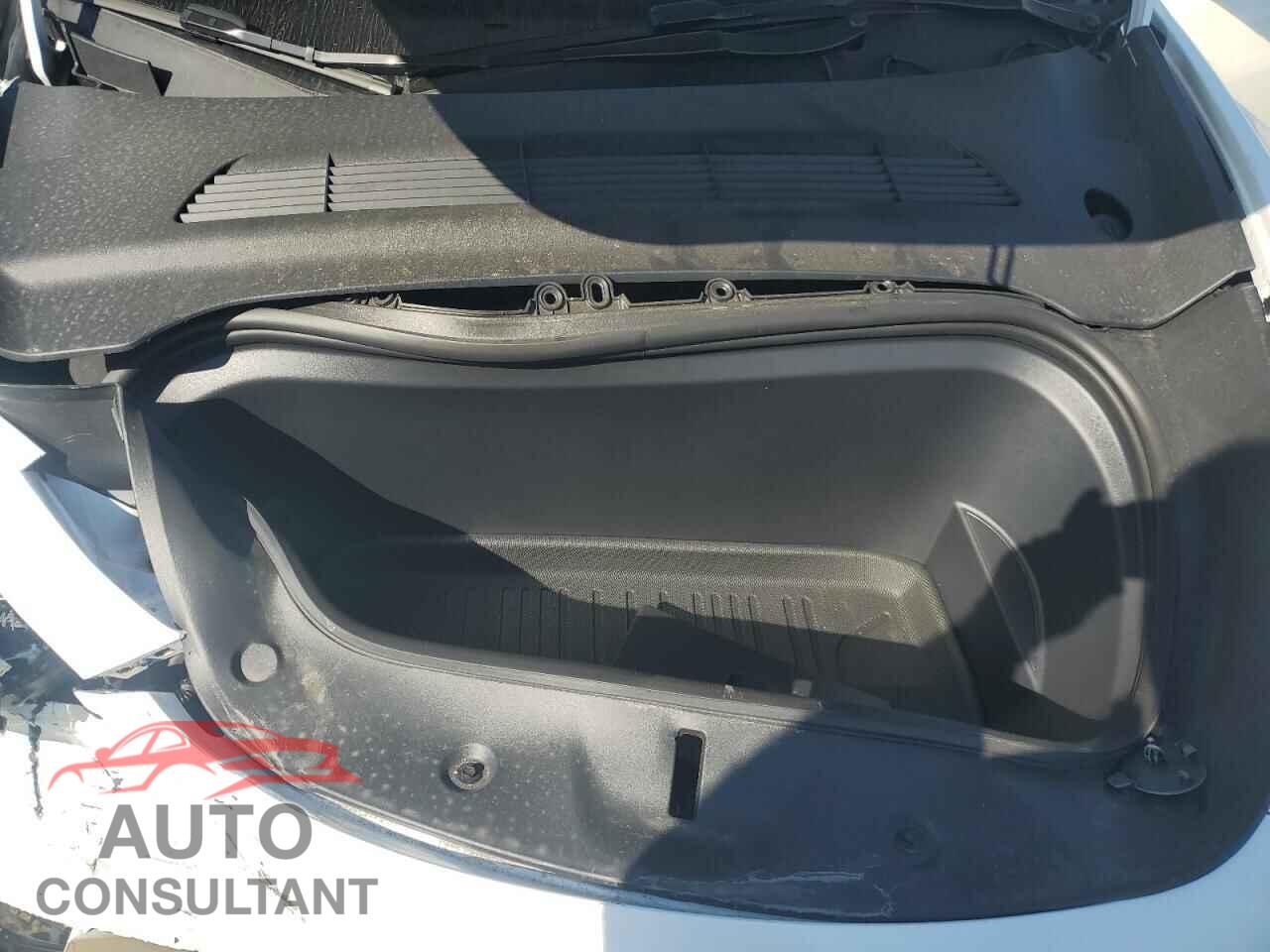 TESLA MODEL Y 2024 - 7SAYGDEE3RF199525