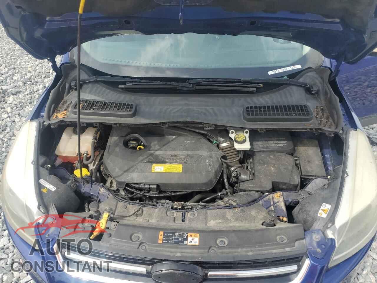FORD ESCAPE 2014 - 1FMCU0JX0EUC50461