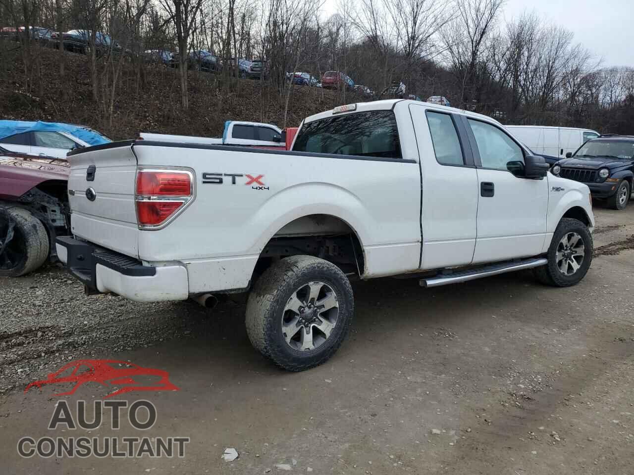 FORD F-150 2013 - 1FTFX1EF9DFD70309