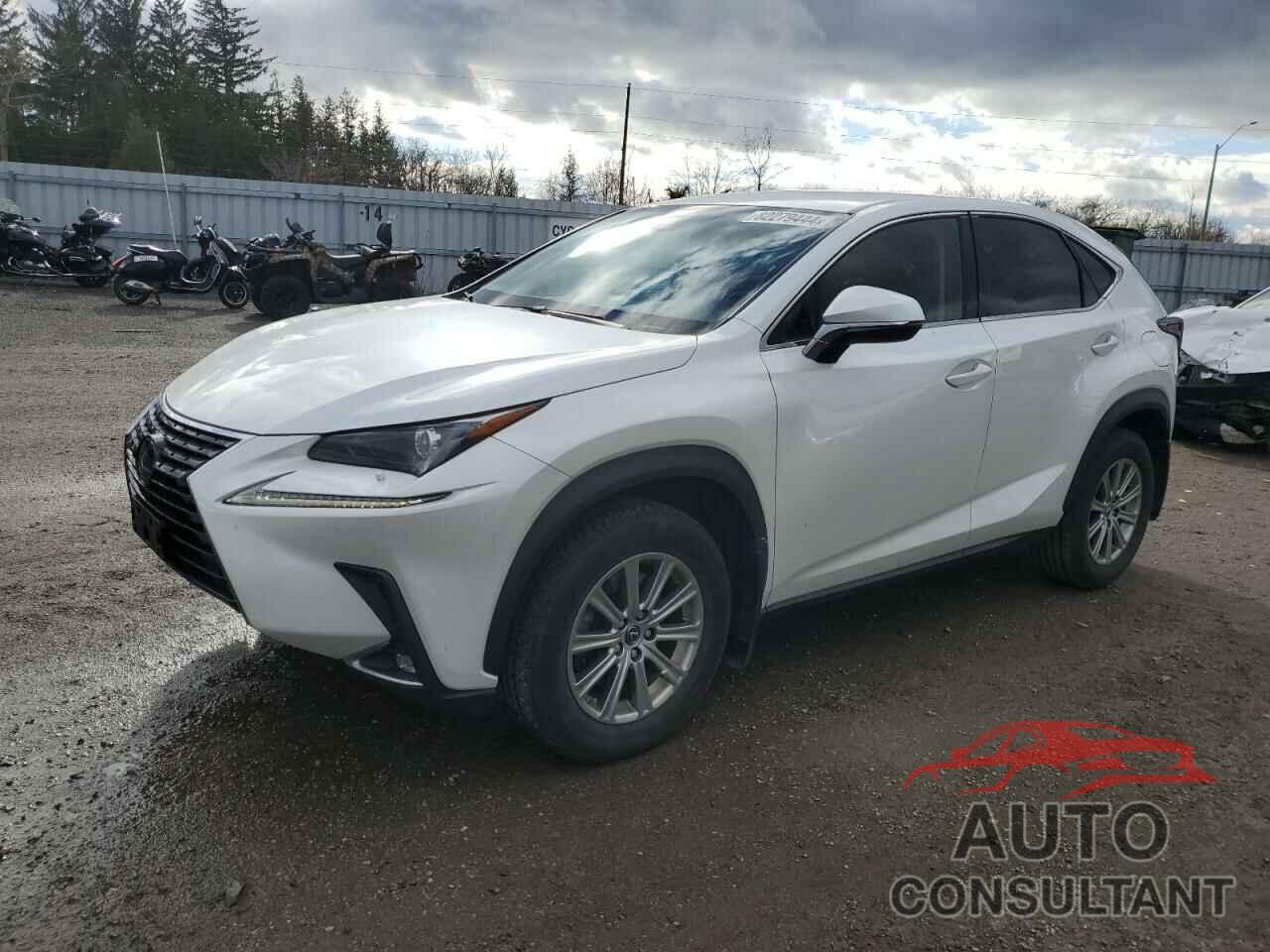 LEXUS NX 2020 - JTJAARDZ0L5001846