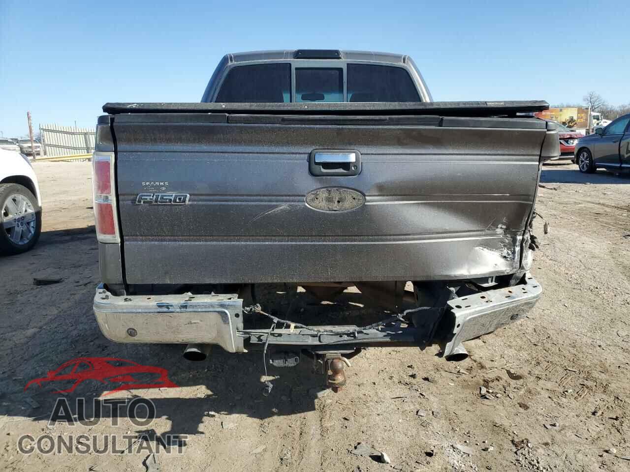 FORD F-150 2009 - 1FTRW12829FB14686