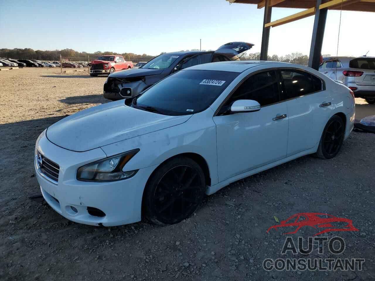 NISSAN MAXIMA 2011 - 1N4AA5AP1BC856473