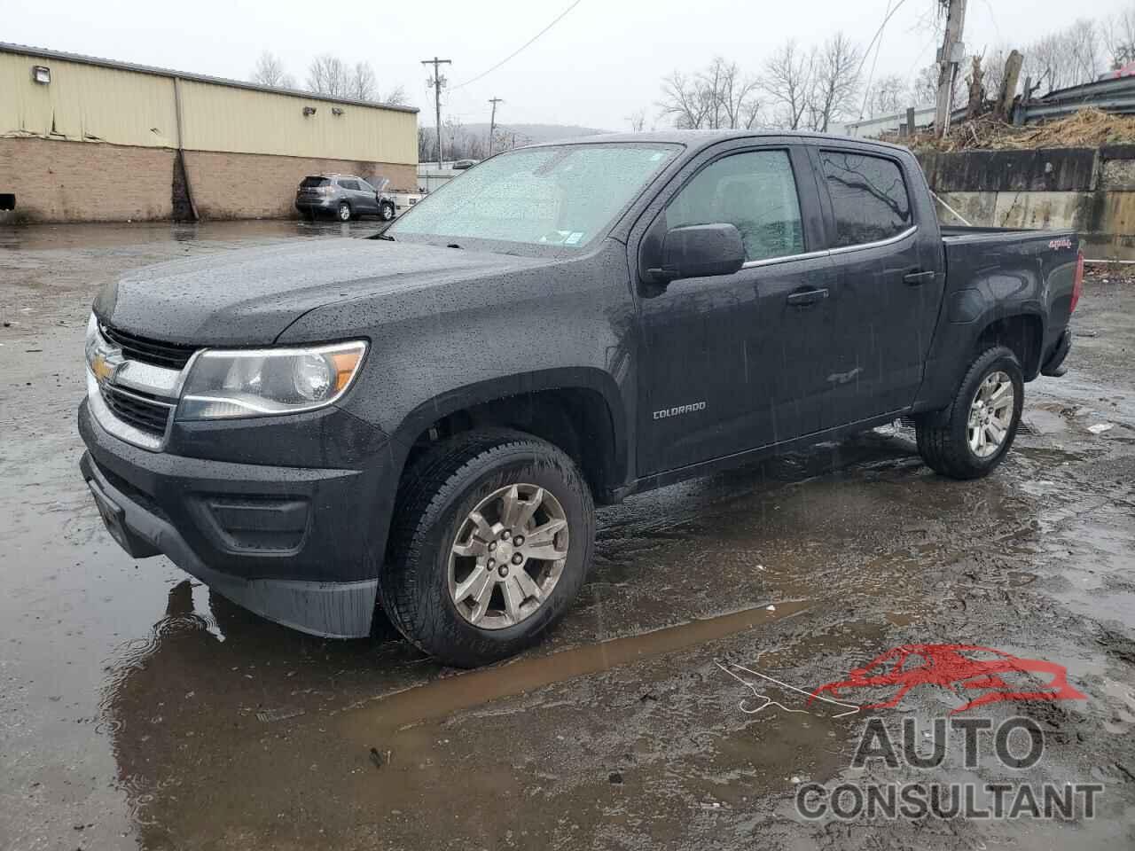 CHEVROLET COLORADO 2019 - 1GCGTCEN7K1119706